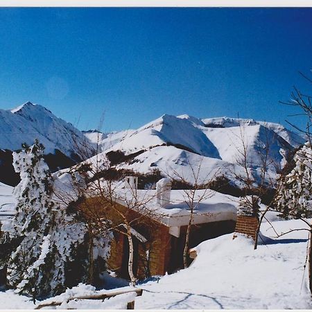 فيلا La Kumari Pintura di Bolognola المظهر الخارجي الصورة